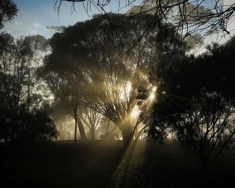 Pecan Hill Bnb Toodyay Extérieur photo
