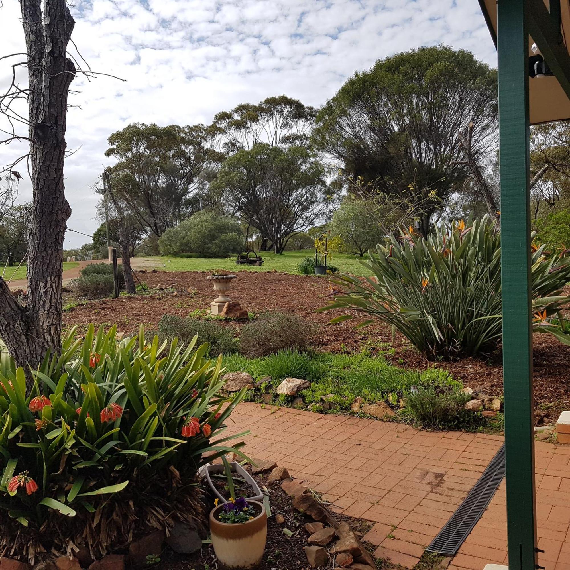 Pecan Hill Bnb Toodyay Extérieur photo